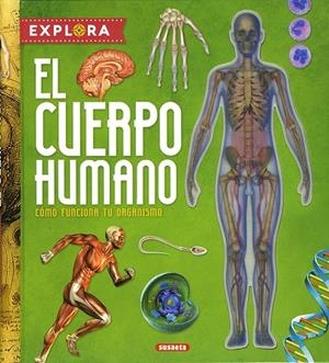 CUERPO HUMANO, EL | 9788410846791 | MONTORO, JORGE
