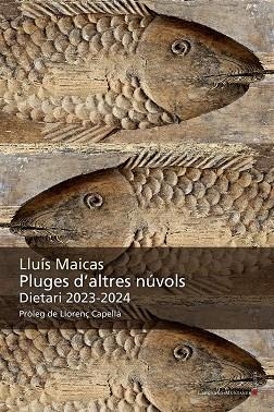 PLUGES D'ALTRES NÚVOLS | 9788410377240 | MAICAS, LLUÍS