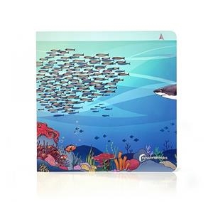 PASEO POR EL MAR, UN | 9788412906844