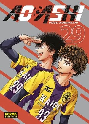 AO ASHI 29 | 9788467973044 | KOBAYASHI, YUGO