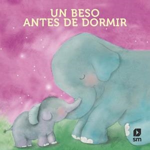 BESO ANTES DE DORMIR, UN (LIBRO DE TELA) | 9788411828925 | TELLECHEA, TERESA