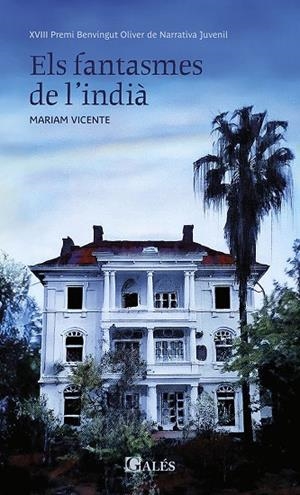 FANTASMES DE L'INDIÀ, ELS | 9788412875157 | VICENTE, MÍRIAM