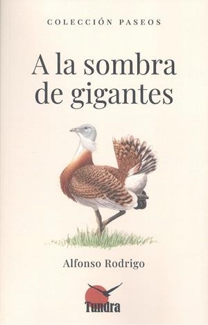 A LA SOMBRA DE GIGANTES | 9791387759025 | RODRIGO, ALFONSO