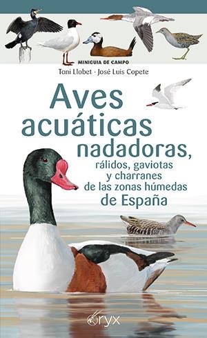 AVES ACUÁTICAS NADADORAS, RÁLIDOS, GAVIOTAS Y CHARRANES DE LAS ZONAS HÚMEDAS DE ESPAÑA | 9788418735790 | LLOBET, TONI / COPETE, JOSÉ LUIS