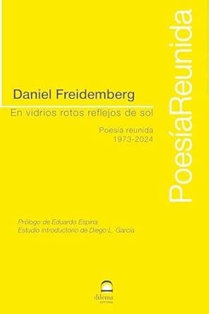 EN VIDRIOS ROTOS REFLEJOS DE SOL | 9788498276909 | FREIDEMBERG, DANIEL