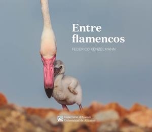 ENTRE FLAMENCOS | 9788413023113 | KENZELMANN AREA, FEDERICO