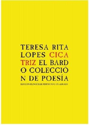 CICATRIZ | 9788482550541 | RITA LOPES, TERESA