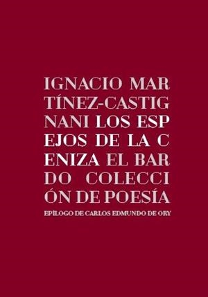 ESPEJOS DE LA CENIZA, LOS | 9788482551357 | MARTINEZ CASTIGNANI, IGNACIO