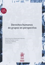 DERECHOS HUMANOS DE GRUPOS EN PERSPECTIVA | 9788413787015 | MALDONADO MÉNDEZ, ÉRIKA VERÓNICA