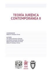 TEORÍA JURÍDICA CONTEMPORÁNEA II | 9788413552910 | NARVÁEZ HERNÁNDEZ, JOSÉ RAMÓN