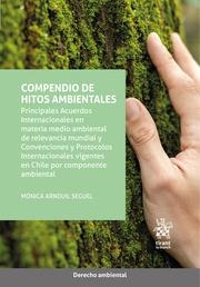 COMPENDIO DE HITOS AMBIENTALES. PRINCIPALES ACUERDOS INTERNACIONALES EN MATERIA MEDIO AMBIENTAL DE RELEVANCIA MUNDIAL | 9788411699853 | ARNOUIL SEGUEL, MÓNICA