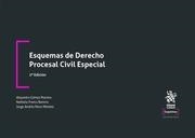 ESQUEMAS DE DERECHO PROCESAL CIVIL ESPECIAL 2ª EDICIÓN | 9788411301114 | GÓMEZ MORENO, ALEJANDRA / FRANCS BARRERA, NATHALIA / MORA MÉNDEZ, JORGE ANDRÉS