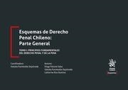 ESQUEMAS DE DERECHO PENAL CHILENO : PARTE GENERAL TOMO I : PRINCIPIOS FUNDAMENTALES DEL DERECHO PENAL Y DE LA PENA | 9788411301596 | FUENTEALBA SEPÚLVEDA, VALESKA / RÍOS RAMÍREZ, CATHERINE / FALCONE SALAS, DIEGO