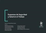 ESQUEMAS DE SEGURIDAD Y SALUD EN EL TRABAJO | 9788411309479 | GOÑI SEIN, JOSÉ LUIS / FERNÁNDEZ MARTÍNEZ, SILVIA / RODRÍGUEZ SANZ DE GALDEANO, BEATRIZ / MORENO SOL