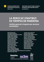 REBUS SIC STANTIBUS EN TIEMPOS DE PANDEMIA, LA : ANÁLISIS GENERAL E IMPACTO POR SECTORES ECONÓMICOS | 9788413786452 | IZAGUIRRE GÓMEZ, SHARON