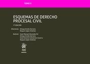 TOMO II ESQUEMAS DE DERECHO PROCESAL CIVIL 7ª EDICIÓN 2020 | 9788413136066 | ARNAIZ SERRANO, AMAYA