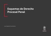 ESQUEMAS DE DERECHO PROCESAL PENAL | 9788413786957 | VERA SÁNCHEZ, JUAN SEBASTIÁN