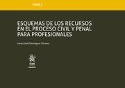 TOMO L ESQUEMAS DE LOS RECURSOS EN EL PROCESO CIVIL Y PENAL PARA PROFESIONALES | 9788413366913 | DOMÍNGUEZ OLIVEROS, INMACULADA