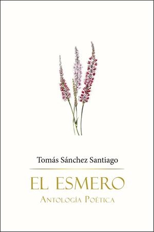 ESMERO, EL | 9788416822638 | SÁNCHEZ SANTIAGO, TOMÁS