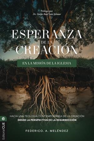 RESURRECCIÓN : ESPERANZA DE LA CREACIÓN EN LA MISIÓN IGLESIA | 9791387625061 | MELENDEZ, FEDERICO