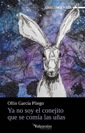 YA NO SOY EL CONEJITO QUE SE COMÍA LAS UÑAS | 9791387538330 | GARCIA PLIEGO, OLLIN