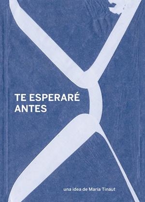 TE ESPERARÉ ANTES | 9788419323613