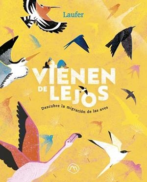 VIENEN DE LEJOS | 9788482897325 | FERNÁNDEZ ARQUISOLA, LAURA (LAUFER)