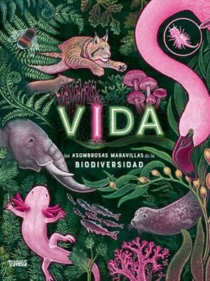 VIDA | 9786075840338 | SMITH, JENNIFER N. R.