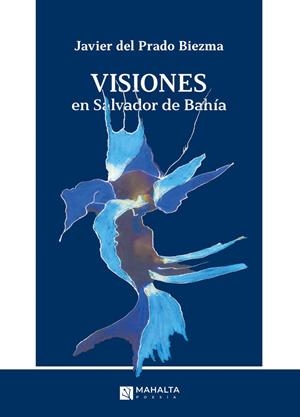 VISIONES EN SALVADOR DE BAHÍA | 9788412941999 | DEL PRADO BIEDMA, JAVIER
