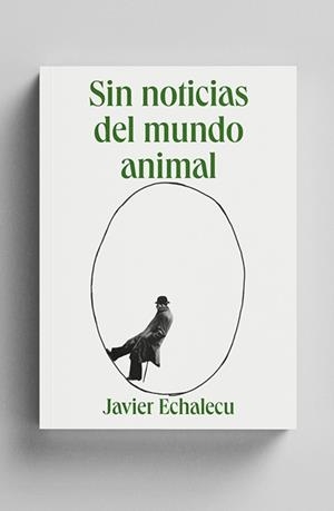 SIN NOTICIAS DEL MUNDO ANIMAL | 9788412809350 | ECHALECU, JAVIER