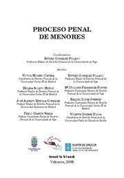 PROCESO PENAL DE MENORES | 9788498764185 | GONZÁLEZ PILLADO, ESTHER / MORENO CATENA, VICTOR / SOLETO MUÑOZ, HELENA / FERNÁNDEZ FUSTES, Mª DOLOR