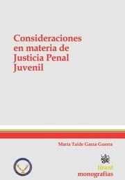CONSIDERACIONES EN MATERIA DE JUSTICIA PENAL JUVENIL | 9788490330173 | GARZA GUERRA, MARÍA TAIDE