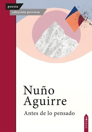 ANTES DE LO PENSADO | 9791399043600 | AGUIRRE, NUÑO