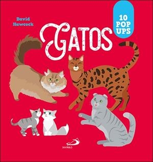 GATOS | 9788428571975 | HAWCOCK, DAVID