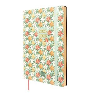 AGENDA ESCOLAR Y10 18M A5 S/V 25/26 | 8422952396765