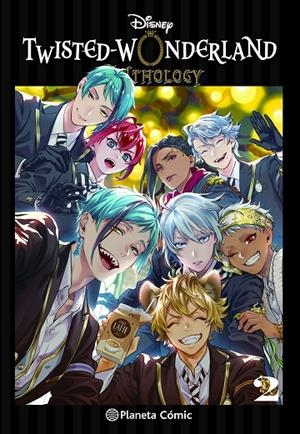 TWISTED WONDERLAND ANTHOLOGY 02 | 9788411618977 | VARIOS AUTORES