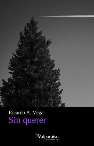 SIN QUERER | 9791387538576 | VEGA, RICARDO A.