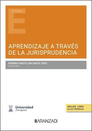APRENDIZAJE A TRAVÉS DE LA JURISPRUDENCIA | 9788410851573 | SANTILLAN SANTA CRUZ, ROMINA