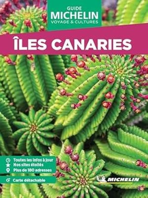 ILES CANARIES : GUIDE VERT WEEK & GO [2024] | 9782067262188