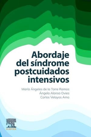 ABORDAJE DEL SINDROME POSTCUIDADOS INTENSIVOS | 9788413827155 | DE LA TORRE