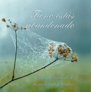 TU NO ESTAS ABANDONADO | 9788482510750 | GABRIELE