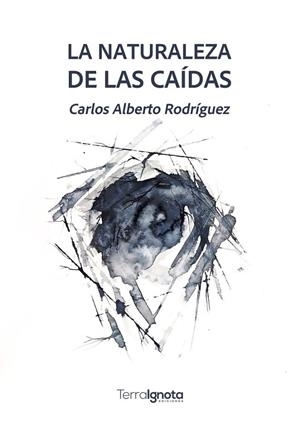 NATURALEZA DE LAS CAIDAS, LA | 9791399012590 | RODRIGUEZ, CARLOS ALBERTO