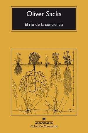 RÍO DE LA CONCIENCIA, EL | 9788433946867 | SACKS, OLIVER