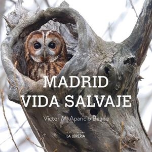 MADRID VIDA SALVAJE | 9788498735758 | APARICIO BEANO, VICTOR