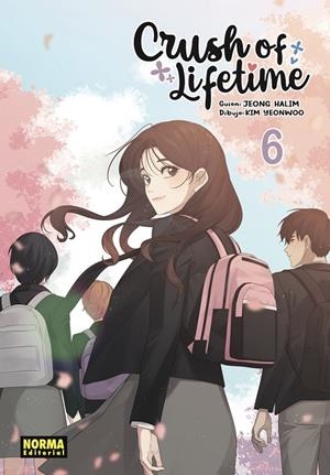CRUSH OF LIFETIME 06 (ED. ESPECIAL) | 9788467976663 | JEONG, HALIM / KIM, YEONWOO