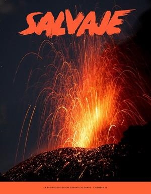 REVISTA SALVAJE 12 | 9779200016210