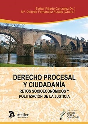 DERECHO PROCESAL Y CIUDADANIA : RETOS SOCIOECONOMICOS Y POLITIZACIÓN DE LA JUSTICIA | 9791387867058 | PILLADO GONZALEZ, ESTHER / FERNANDEZ, MA DOLORES