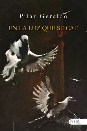 EN LA LUZ QUE SE CAE | 9791387532796 | GERALDO DENIA, PILAR