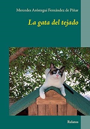GATA DEL TEJADO, LA | 9788413264608 | AROSTEGUI FERNANDEZ DE PINAR, MERCEDES