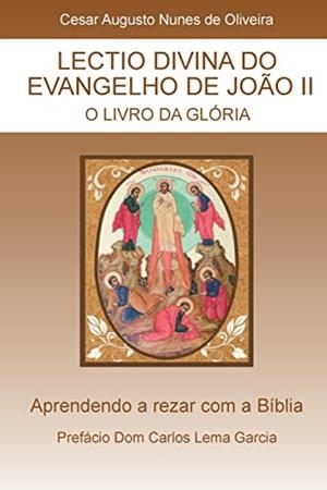 LECTIO DIVINA DO EVANGELHO DE JOAO II | 9788556381156 | NUNES DE OLIVEIRA, CESAR AUGUSTO